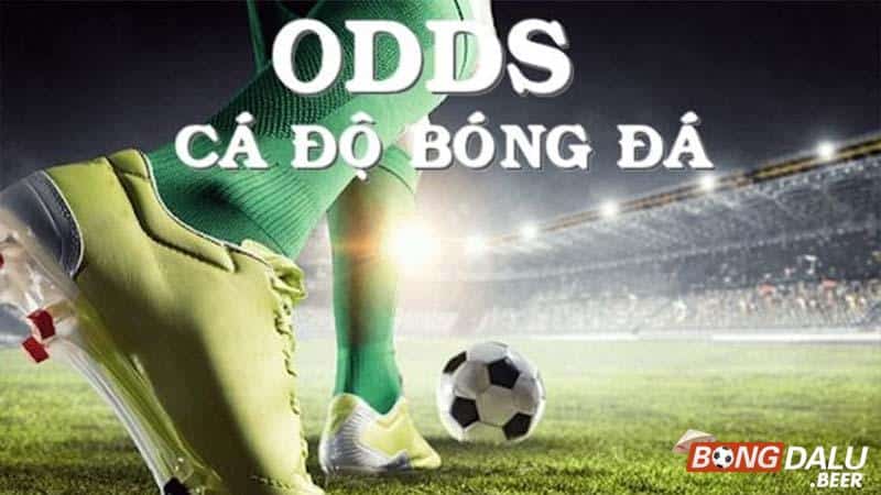 Hướng dẫn các đọc Odds chính xác